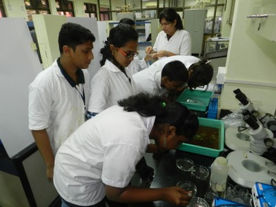 Biology Nius 2015